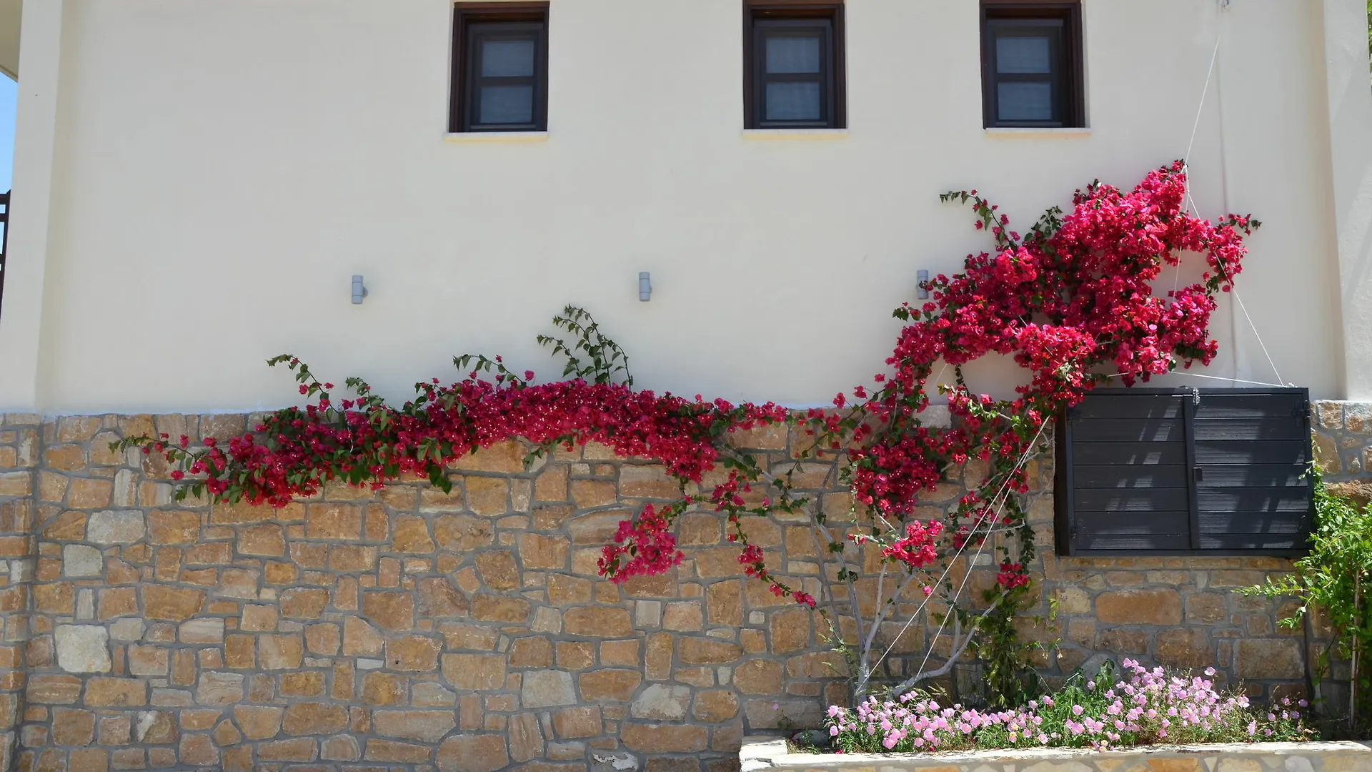 Helianthus Guesthouse Амолиани