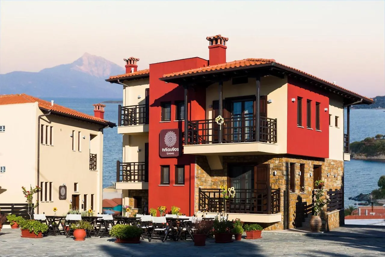 Helianthus Guesthouse location