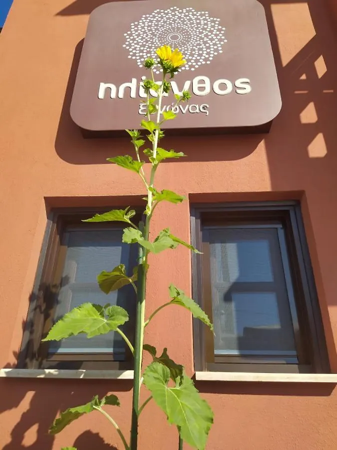 Helianthus Guesthouse Ammouliani 3*,  Greece