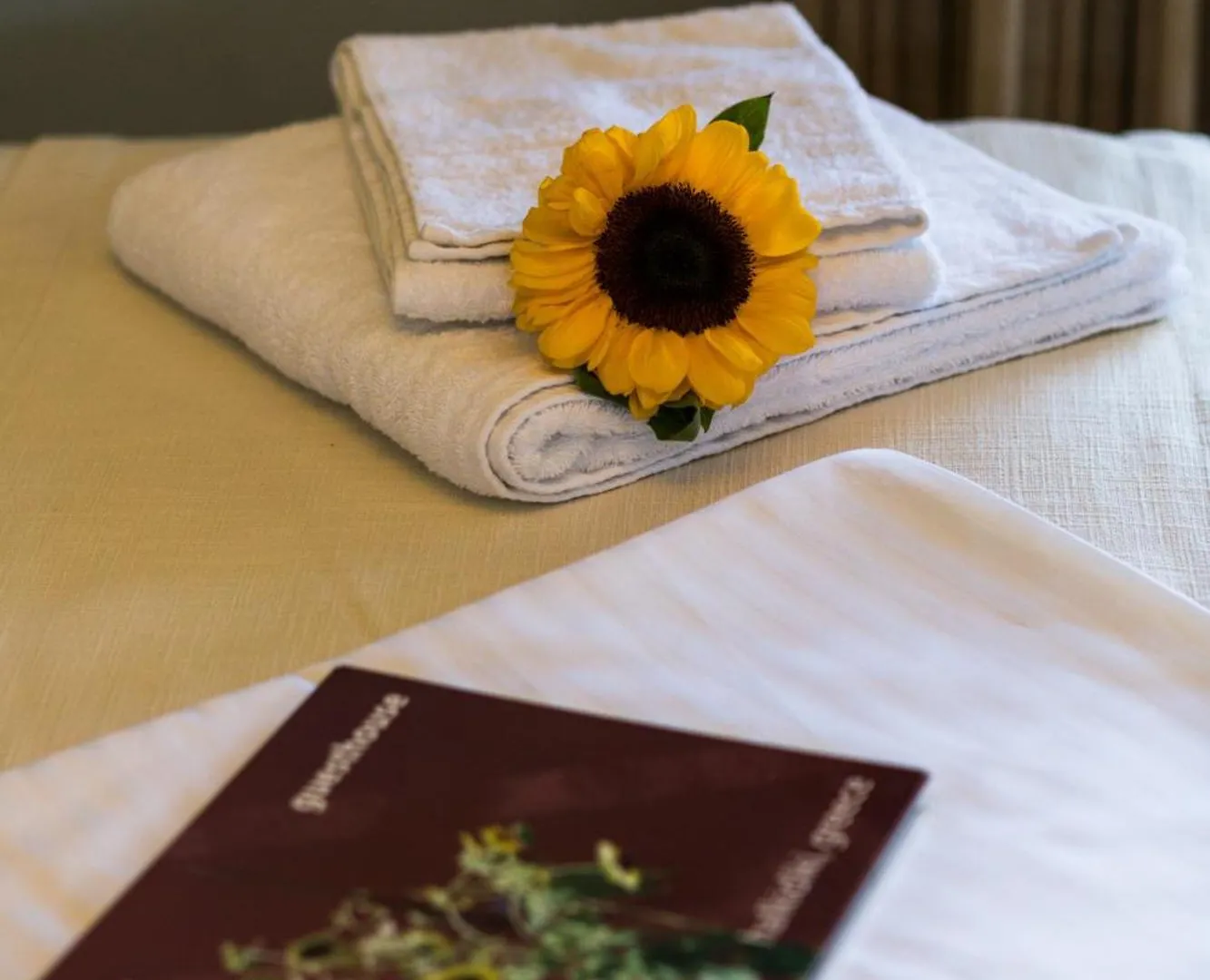 Helianthus Guesthouse Ammouliani